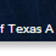 Image for article titled Why Your Team Sucks 2014: Seattle Seahawks